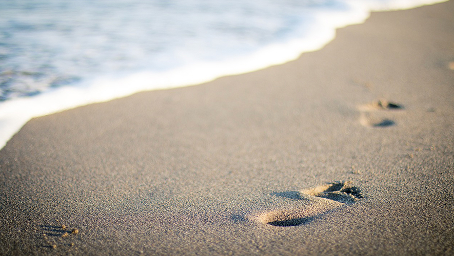   Photo : Pixabay