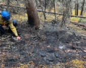 Un pompier vérifie la chaleur au sol sur l’incendie DA-002 dans la région de Dawson. L’incendie a été découvert, pris en charge et déclaré sous contrôle par les équipes le 16 juin.  &mdash; Photo : Gouvernement du Yukon
