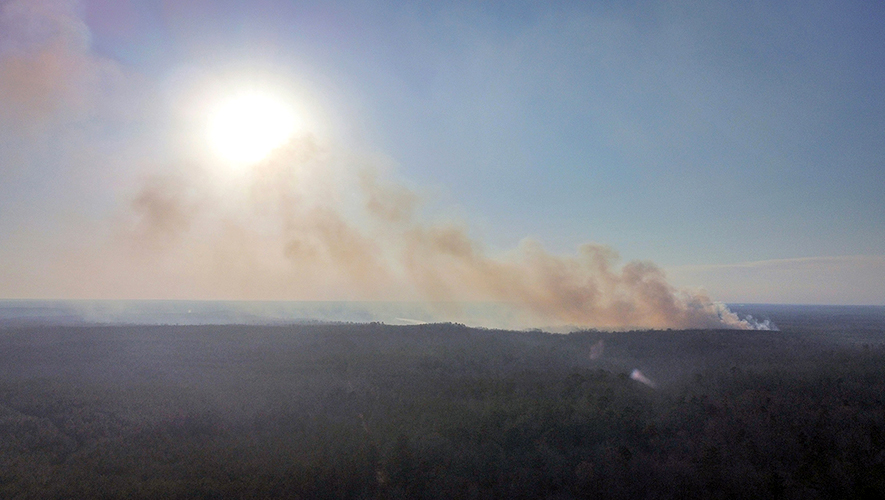 L’Ouest du Canada devrait connaître une saison d’incendies de forêt plus intense que l’Est du pays en 2025.  &mdash; Photo : Cody Eason – Unsplash