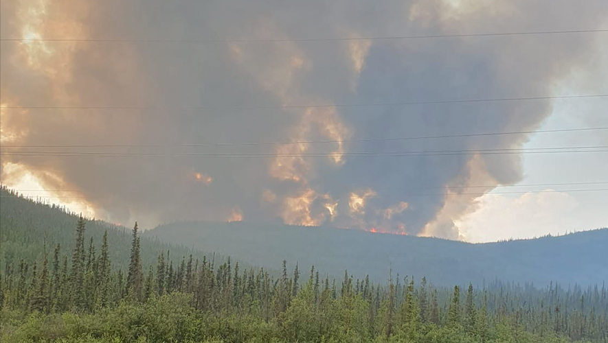 Les feux de forêt participent au renouvellement des écosystèmes, en favorisant la régénération de certaines espèces végétales et en créant des habitats bénéfiques pour plusieurs animaux. &mdash; Photo : Gwendoline Le Bomin