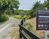 Le Sentier à Whycocomagh, en Nouvelle-Écosse.  &mdash; Photo : Jean-Philippe Giroux