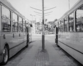   Photo : Adobe