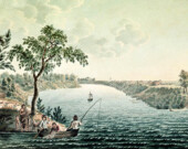 La colonie de la rivière Rouge.  &mdash; Photo : Peter Rindishbache, domaine public