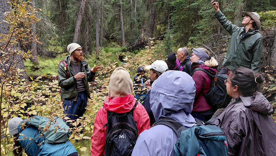 L’activité de cueillette et d’initiation à la botanique, animée par Nomadic Harvests, s’est déroulée le samedi 20 septembre et a été une collaboration entre la Communauté francophone accueillante (CFA) de Whitehorse et le service aîné∙e∙s de l’AFY pour favoriser l’interculturalité. L’activité a rassemblé 25 personnes, dont plusieurs nouveaux arrivants et nouvelles arrivantes, 
qui ont ainsi pu découvrir la flore locale. &mdash; Photo : Paul Marquehosse