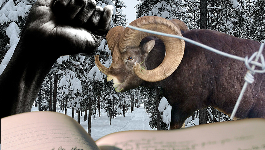 Photo collage inspiré par la saison du Capricorne et du Verseau. &mdash; Photo : Catherine Bolduc-Gagnon