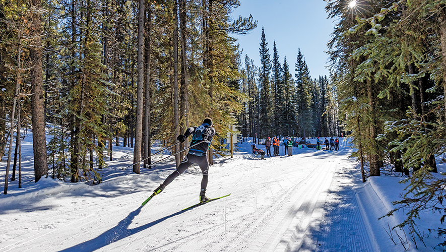 Depuis 2025, le Yukon Ski Marathon est organisé comme un événement de tourisme sportif, mais le Centre nordique de Whitehorse souhaite garder l’intérêt des athlètes locaux en proposant des parcours variés et inclusifs. &mdash; Photo : Fritz Mueller