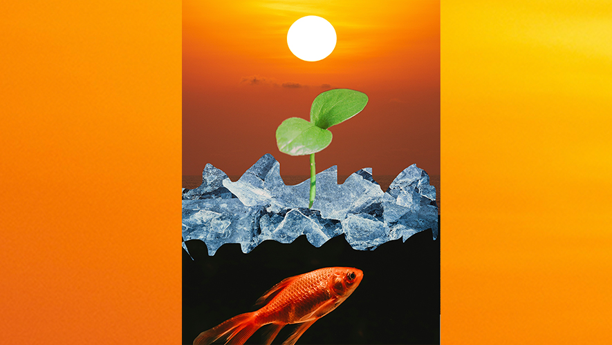 Après la saison des Poissons, sensible et introspective, le Bélier nous invite à être courageux, comme le crocus qui perce le sol gelé. &mdash; Photo : Fournie