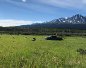 Une étude publiée en mars 2026, sur les propriétés de 14 sites dans la région de Haines Junction au Yukon, révèle que les sites où se trouve du pergélisol réagissent différemment lors d’un tremblement de terre.  &mdash; Photo : Ressources Naturelles Canada