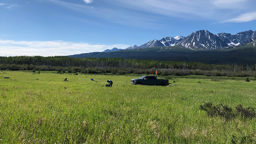 Une étude publiée en mars 2026, sur les propriétés de 14 sites dans la région de Haines Junction au Yukon, révèle que les sites où se trouve du pergélisol réagissent différemment lors d’un tremblement de terre.  &mdash; Photo : Ressources Naturelles Canada