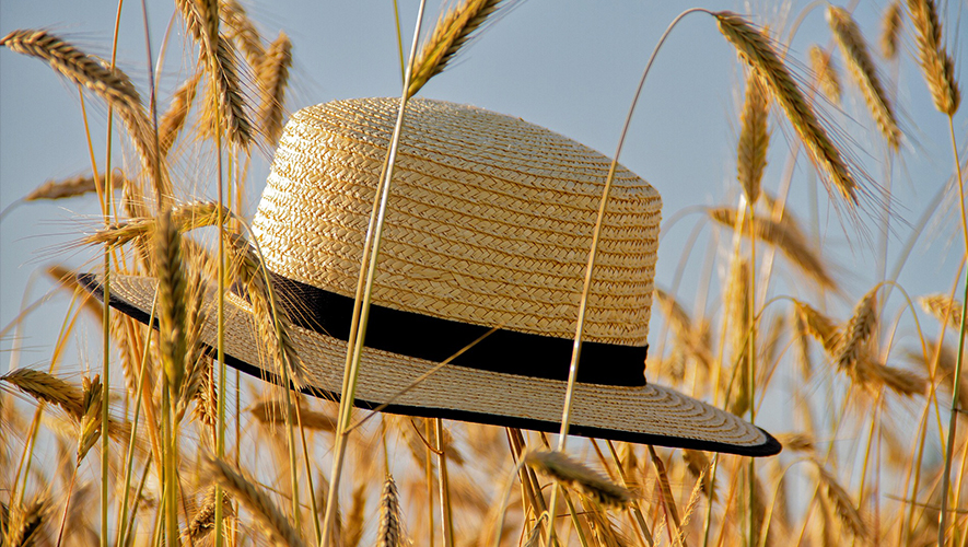   Photo : Pixabay