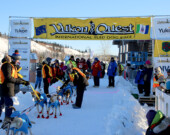 Départ cérémonial de la Yukon Quest à Whitehorse en 2025. Le vrai départ a eu lieu à Teslin, en raison de sécurité sur la glace. &mdash; Photo : Archives A.B.