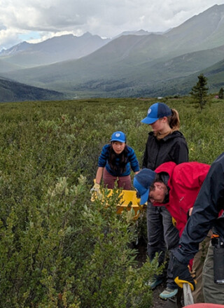 La Brigade jeunesse pour la protection de l’environnement (Y2C2) est un programme de formation et d’emploi axé sur le travail et l’apprentissage dans le domaine de l’environnement destiné aux étudiantes et étudiants yukonnais. Chaque été, seize jeunes aident des communautés à mener à bien des projets de conservation. &mdash; Photo : Gouvernement du Yukon