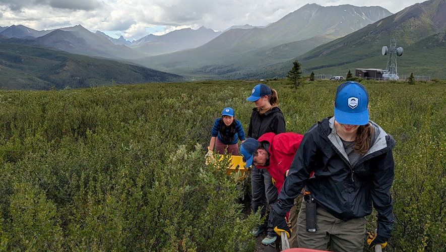 La Brigade jeunesse pour la protection de l’environnement (Y2C2) est un programme de formation et d’emploi axé sur le travail et l’apprentissage dans le domaine de l’environnement destiné aux étudiantes et étudiants yukonnais. Chaque été, seize jeunes aident des communautés à mener à bien des projets de conservation. &mdash; Photo : Gouvernement du Yukon