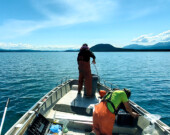 Évaluation de la santé des poissons au lac Little Atlin.
 &mdash; Photo : Gouvernement du Yukon