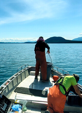 Évaluation de la santé des poissons au lac Little Atlin.
 &mdash; Photo : Gouvernement du Yukon