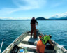 Évaluation de la santé des poissons au lac Little Atlin.
 &mdash; Photo : Gouvernement du Yukon