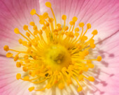  Photo : iStock 