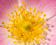   Photo : iStock 