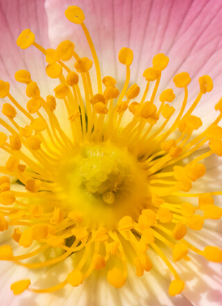   Photo : iStock 