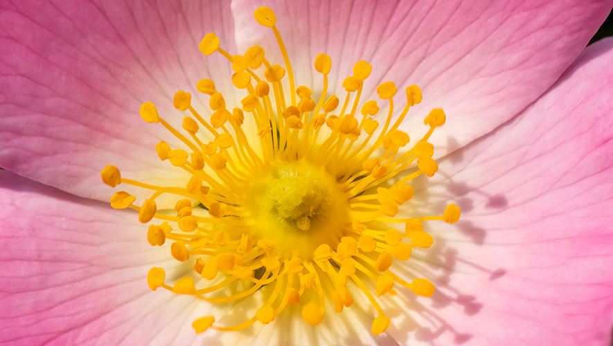   Photo : iStock 