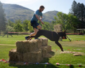 Les obstacles sont destinés aux humains dans la catégorie K9, mais le chien suit tout du long. L’idée est de travailler avec son animal pour réussir à franchir l’obstacle malgré la laisse. &mdash; Photo : Zulu Challenge