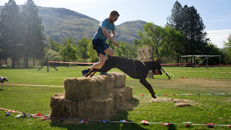Les obstacles sont destinés aux humains dans la catégorie K9, mais le chien suit tout du long. L’idée est de travailler avec son animal pour réussir à franchir l’obstacle malgré la laisse. &mdash; Photo : Zulu Challenge