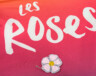 Une rose perlée sur le chandail des Roses. &mdash; Photo : Angélique Bernard