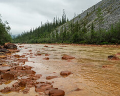 Un tronçon de la rivière Engineer près de la route Dempster, au Yukon. &mdash; Photo : Nelly Guidici