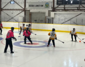 Le tournoi de fin de saison de la YBA, à Haines Junction (l’équipe Castle Mountain Farm Porkchops contre Ozzall Construction Fireballers). &mdash; Photo : Nicolas Nadon