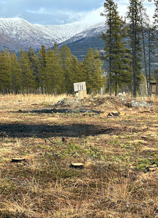 Travaux de défrichement et de nettoyage du site effectués cet automne. &mdash; Photo : Marie-Claude Nault